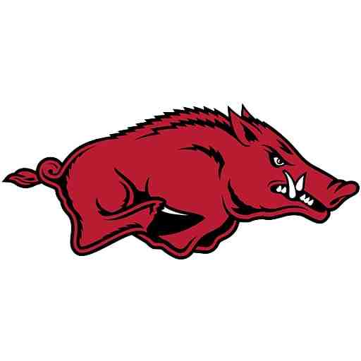 Arkansas Lady Razorbacks Women's Volleyball